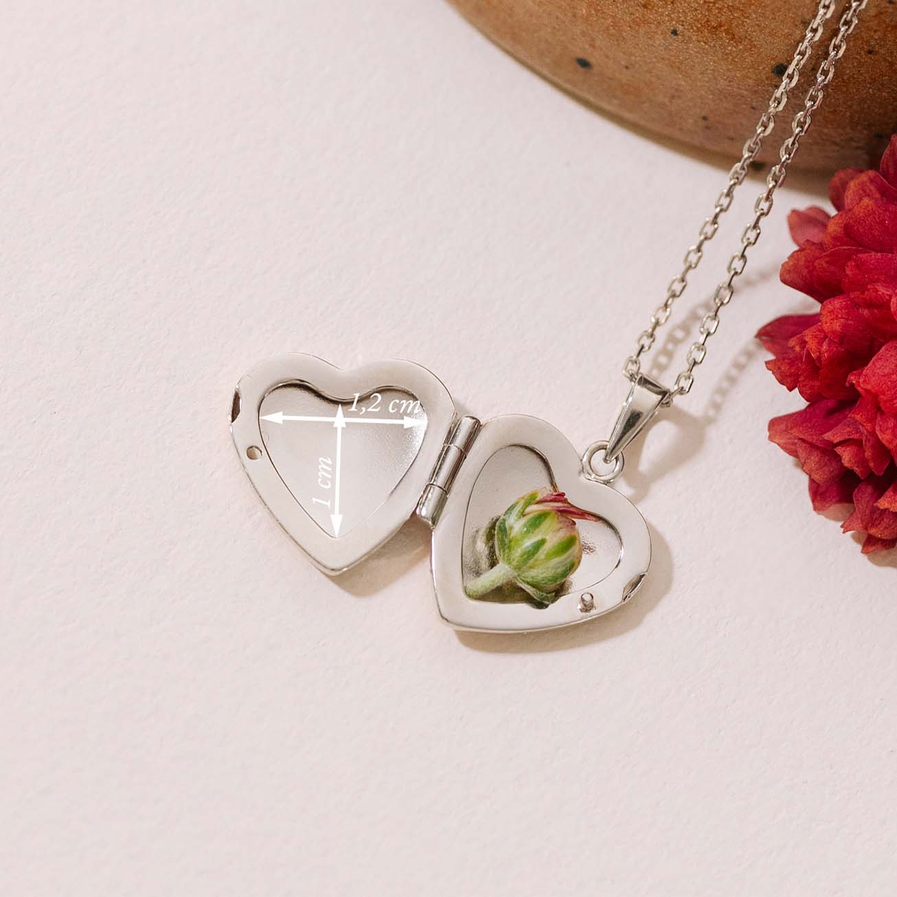 Collar medalla Corazón foto plata personalizado